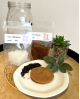 DUO  kombucha + kéfir de fruits