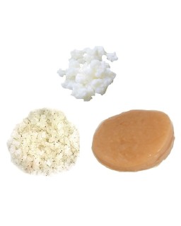 trio kombucha - kefir de fruits - kefir de lait