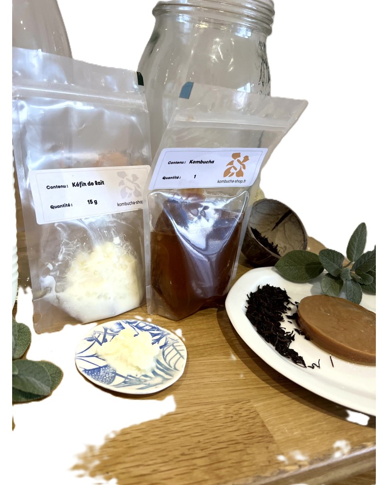 DUO  kombucha + kéfir de lait