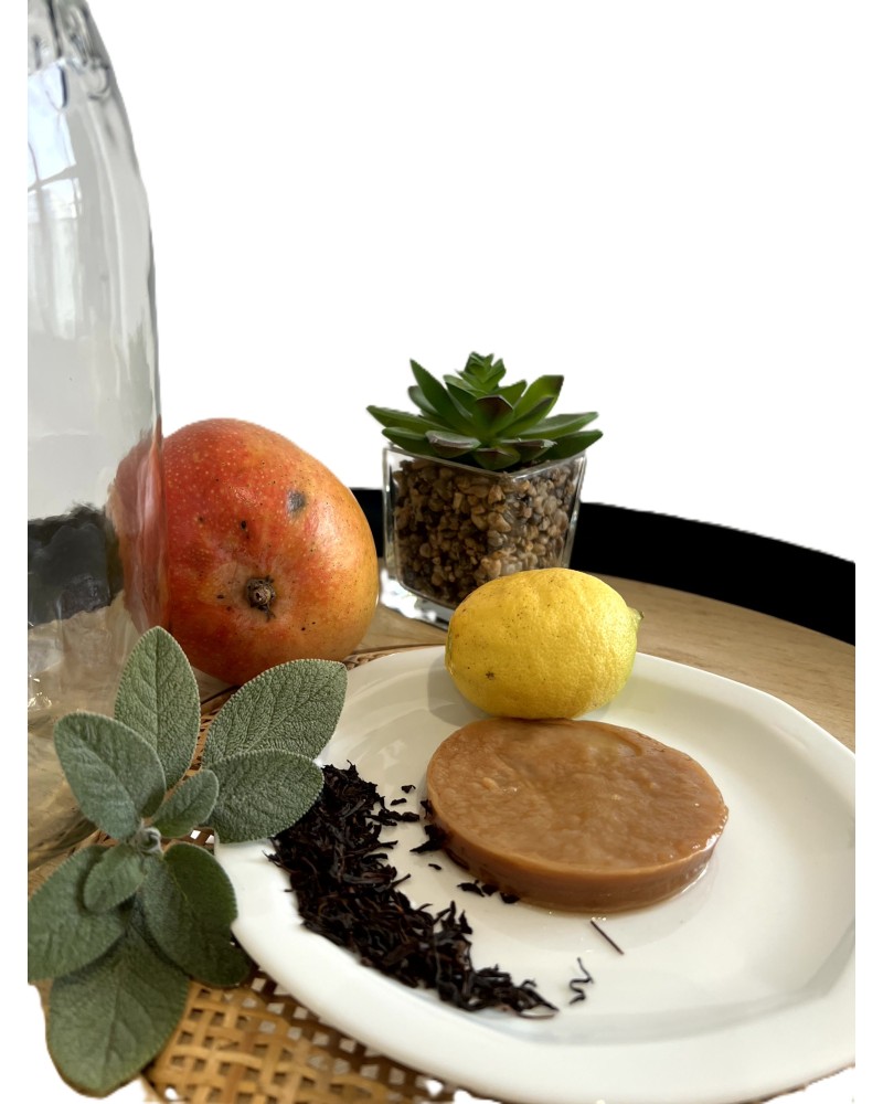 Mère de Kombucha : 100% Bio pour fermentation maison