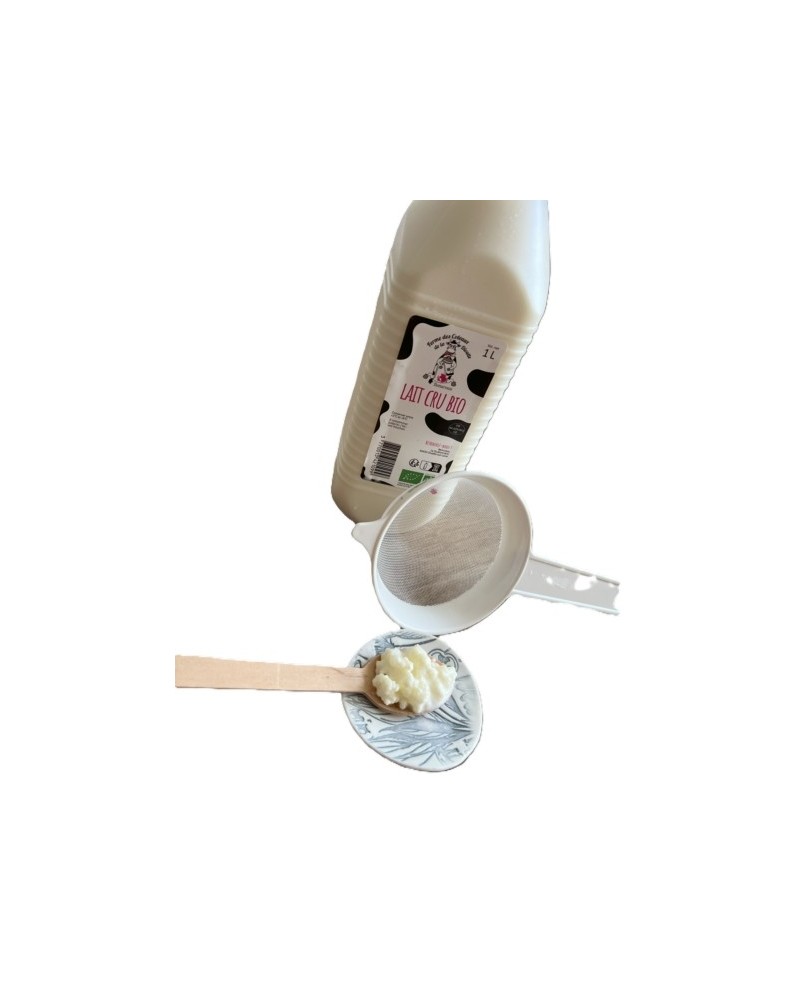 Kéfir de Lait : Probiotique Maison - kombucha-shop