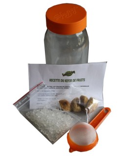 Pack Kit Kéfir de fruit