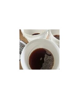 Mère de Kombucha : 100% Bio pour fermentation maison