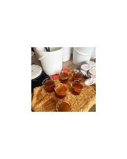 Mère de Kombucha : 100% Bio pour fermentation maison