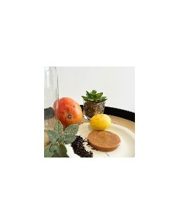 Mère de Kombucha : 100% Bio pour fermentation maison