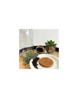 Mère de Kombucha : 100% Bio pour fermentation maison