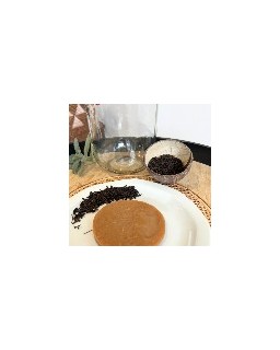 Mère de Kombucha : 100% Bio pour fermentation maison