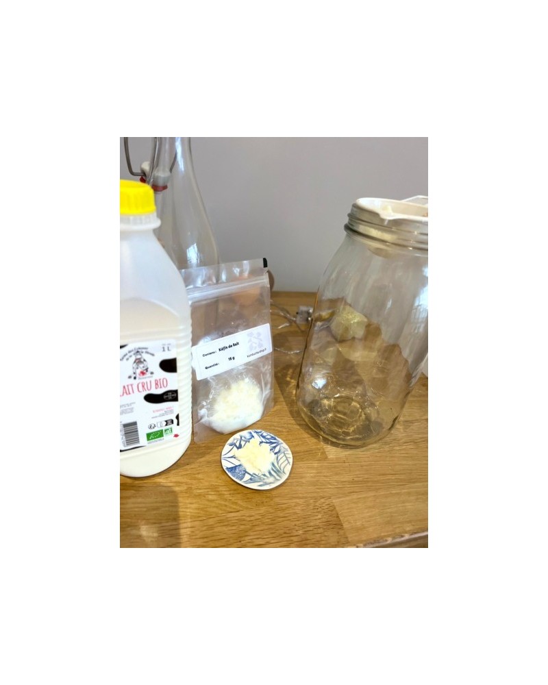 Pack Kit débutant Kéfir de Lait