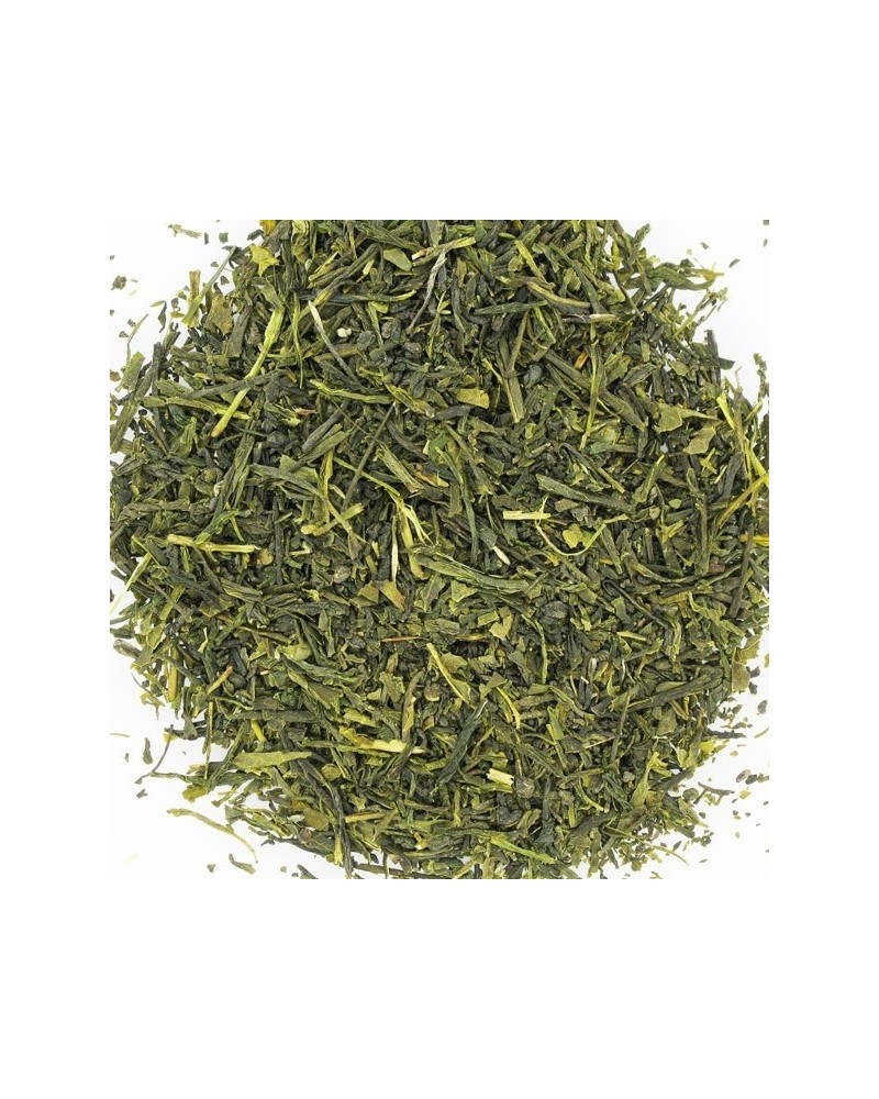 Thé vert bio