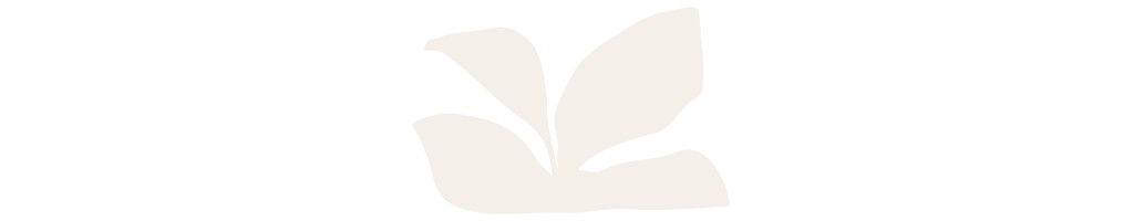 Kéfir de Lait : Boisson lactée fermentée et fromage frais maison
